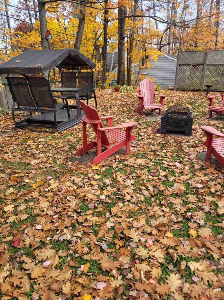 Enlèvement de feuilles Québec City